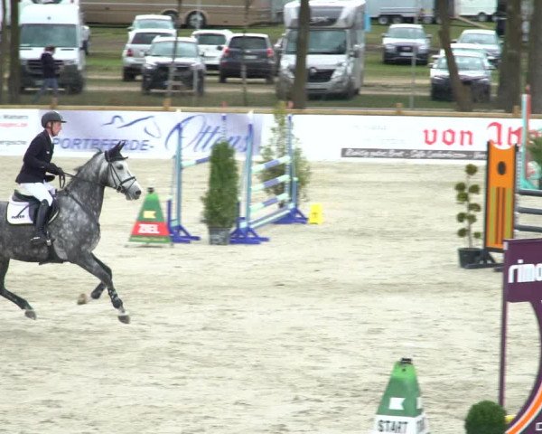 FEI Reitturnier Westergellersen (GER) 2021