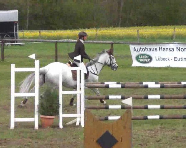 jumper Carlona (Czech Warmblood, 1999, from Lombard)