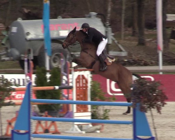FEI Reitturnier Westergellersen (GER) 2021