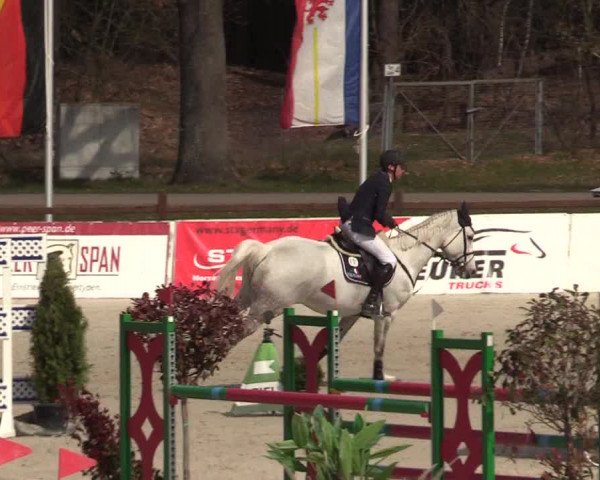 FEI Reitturnier Westergellersen (GER) 2021