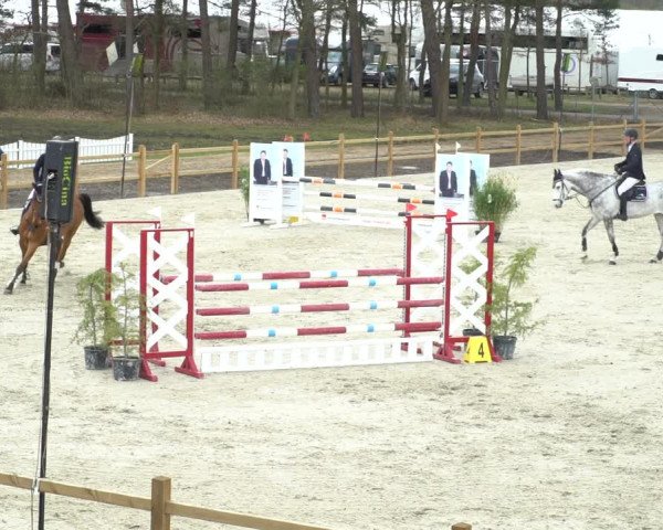 FEI Reitturnier Westergellersen (GER) 2021