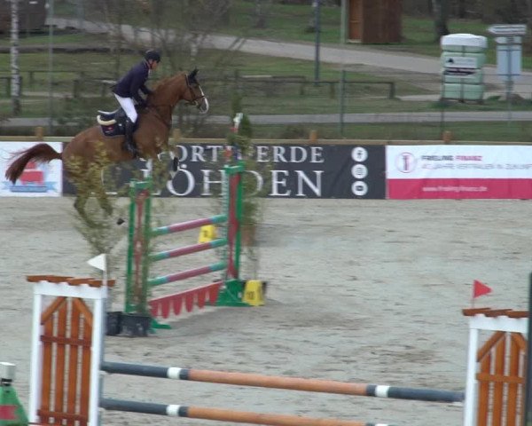 FEI Reitturnier Westergellersen (GER) 2021