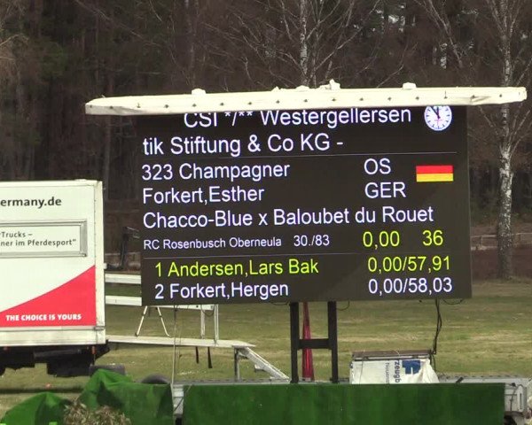 FEI Reitturnier Westergellersen (GER) 2021