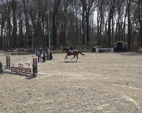 Reitturnier Klein Roscharden 2021