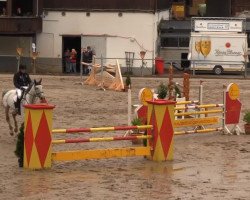 jumper Hbr Claudius (German Warmblood, 2004, from Clearway)