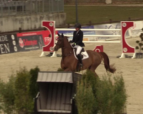 FEI Reitturnier Westergellersen (GER) 2021