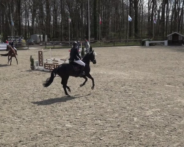 Reitturnier Klein Roscharden 2021