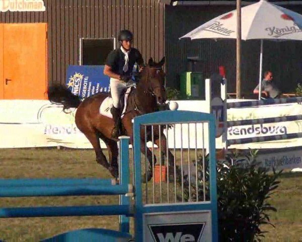 jumper No Limint (Holsteiner, 2006, from Nekton)