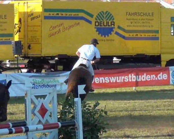 jumper Carlotta 153 (Holsteiner, 2006, from Calato)