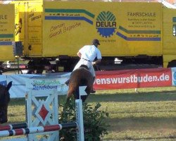 Springpferd Carlotta 153 (Holsteiner, 2006, von Calato)