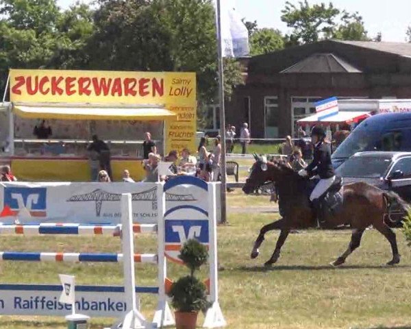 jumper Wescada (Holsteiner, 2006, from Canto)