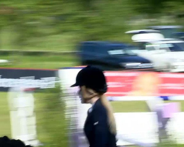 broodmare Arielle 337 (Hanoverian, 2004, from Askari)