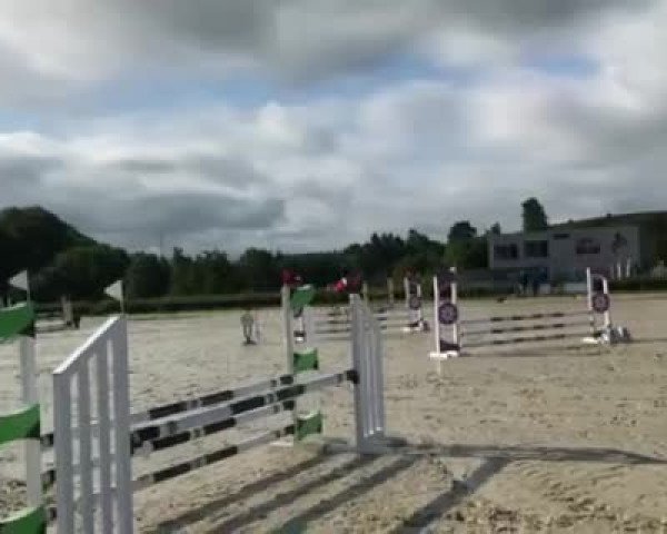 Video of Fuu Verla