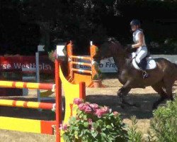 broodmare Quinta 83 (Holsteiner, 2006, from Quintero)