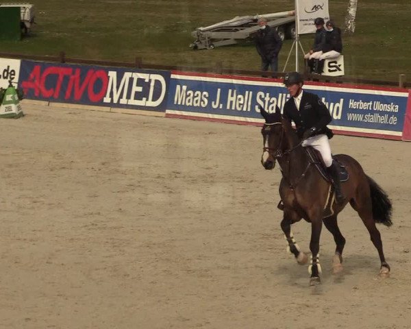 FEI Reitturnier Westergellersen (GER) 2021