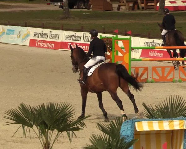 FEI Reitturnier Westergellersen (GER) 2021