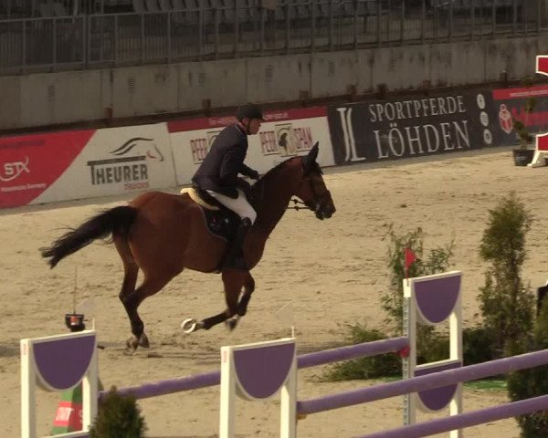 FEI Reitturnier Westergellersen (GER) 2021