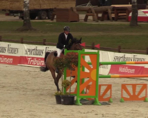 FEI Reitturnier Westergellersen (GER) 2021