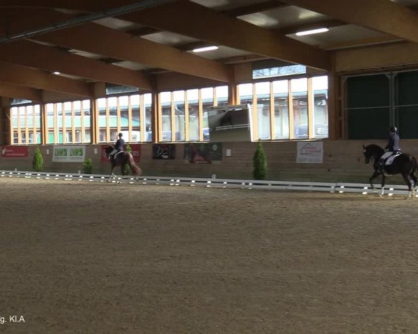Reitturnier Coesfeld-Lette 2021