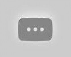 broodmare Visby R (Hanoverian, 2007, from Now Or Never M)