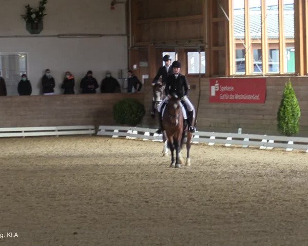Reitturnier Coesfeld-Lette 2021