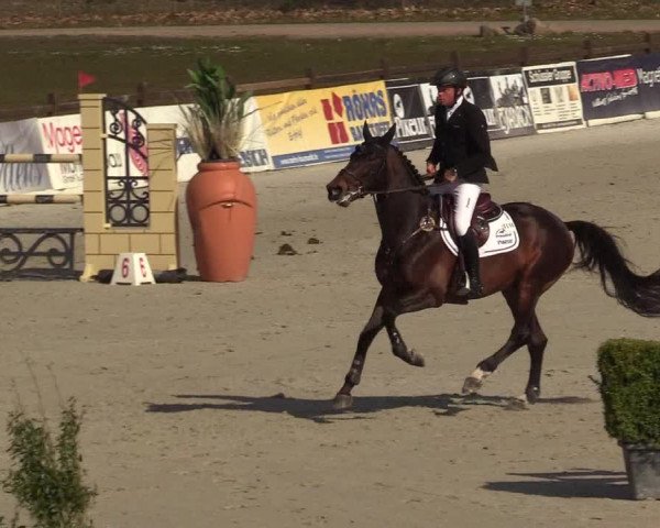 FEI Reitturnier Westergellersen (GER) 2021
