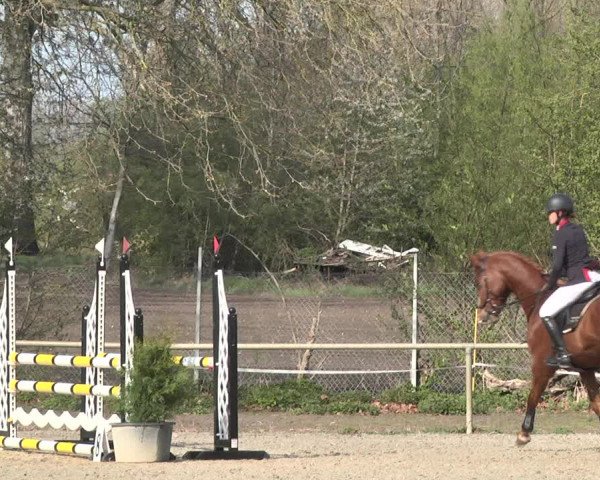 Reitturnier Lampertheim 2021