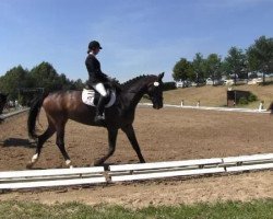 dressage horse Leo 369 (Oldenburg, 1998, from Lordanos)