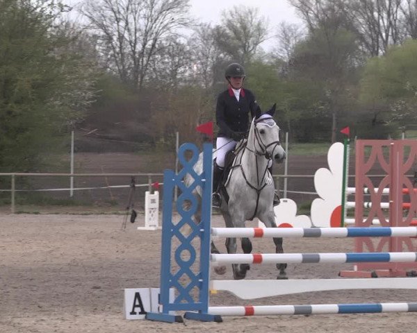 Reitturnier Lampertheim 2021