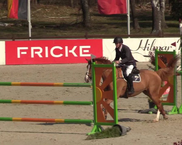 FEI Reitturnier Westergellersen (GER) 2021