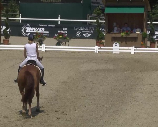 dressage horse Filou de Coeur (Westphalian, 2007, from Fuerstentraum 2)