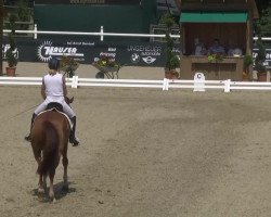 dressage horse Filou de Coeur (Westphalian, 2007, from Fuerstentraum 2)