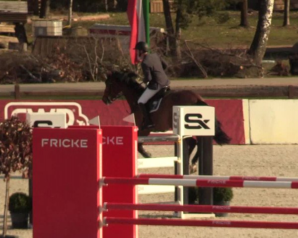 FEI Reitturnier Westergellersen (GER) 2021
