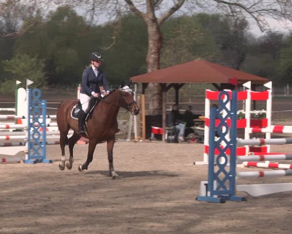 Reitturnier Lampertheim 2021
