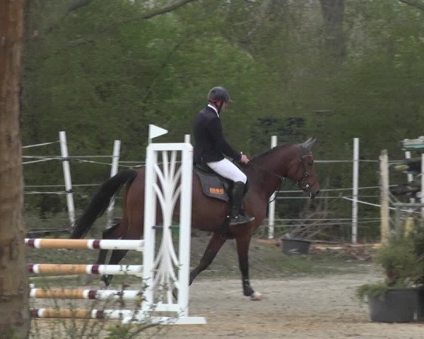 Reitturnier Lampertheim 2021