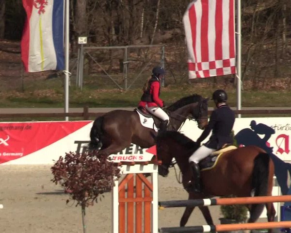 FEI Reitturnier Westergellersen (GER) 2021