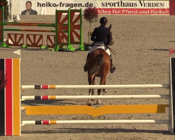 FEI Reitturnier Westergellersen (GER) 2021