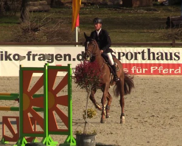 FEI Reitturnier Westergellersen (GER) 2021