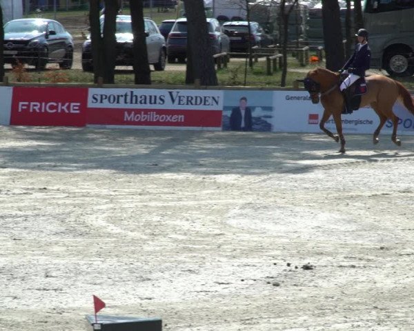 FEI Reitturnier Westergellersen (GER) 2021
