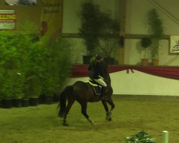 jumper Cherubino (Oldenburg, 2006, from Couleur Rouge)