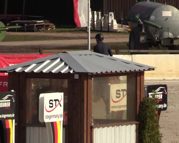FEI Reitturnier Westergellersen (GER) 2021