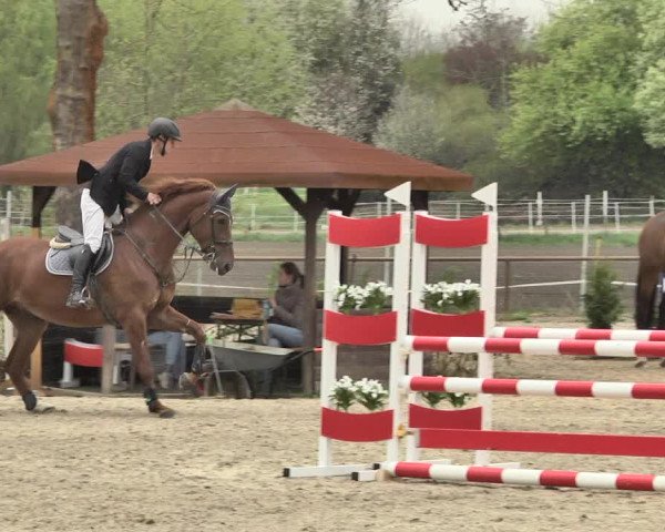 Reitturnier Lampertheim 2021