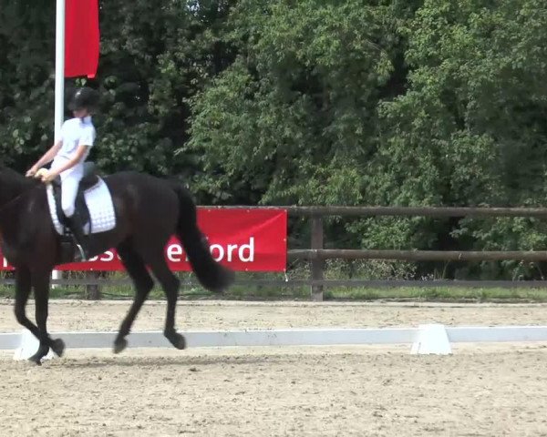 jumper Silverado 25 (Westphalian, 2004, from Salamander)