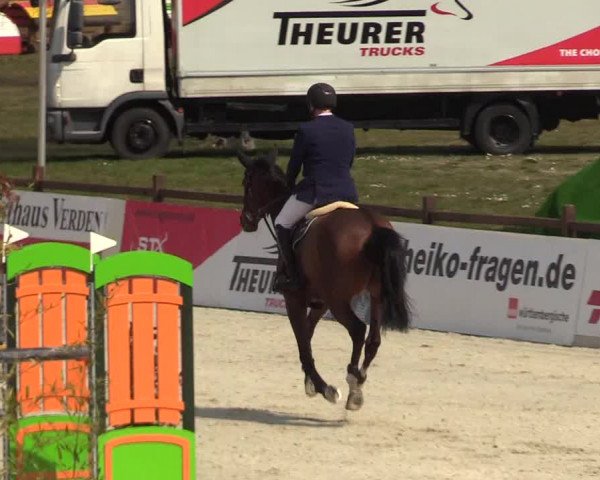 FEI Reitturnier Westergellersen (GER) 2021