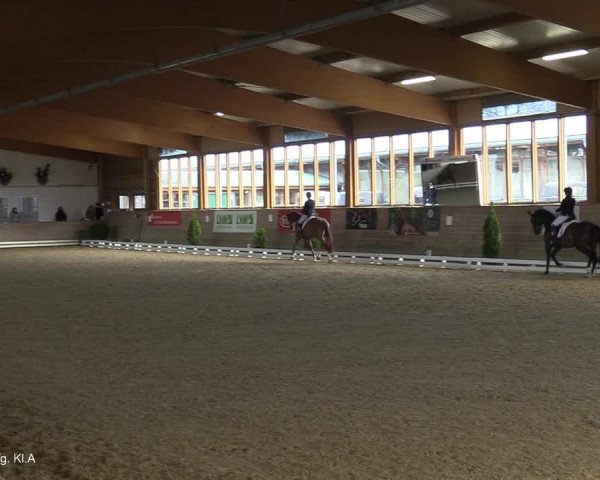 Reitturnier Coesfeld-Lette 2021
