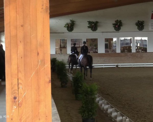 Reitturnier Coesfeld-Lette 2021