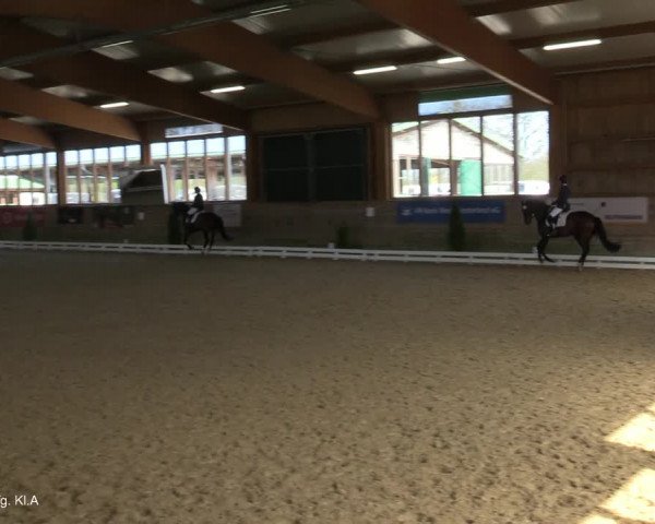 Reitturnier Coesfeld-Lette 2021