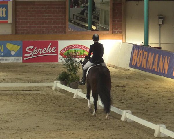 Steinhagen Classics 2021