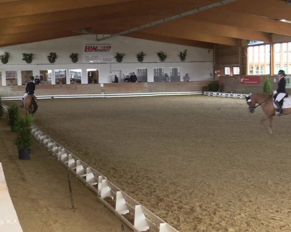 Reitturnier Coesfeld-Lette 2021