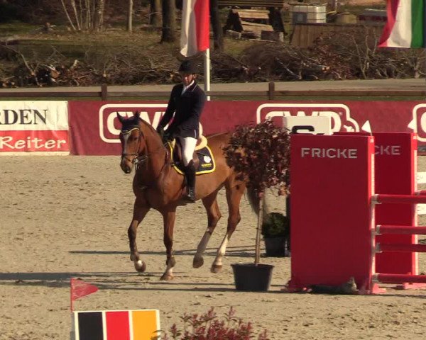FEI Reitturnier Westergellersen (GER) 2021
